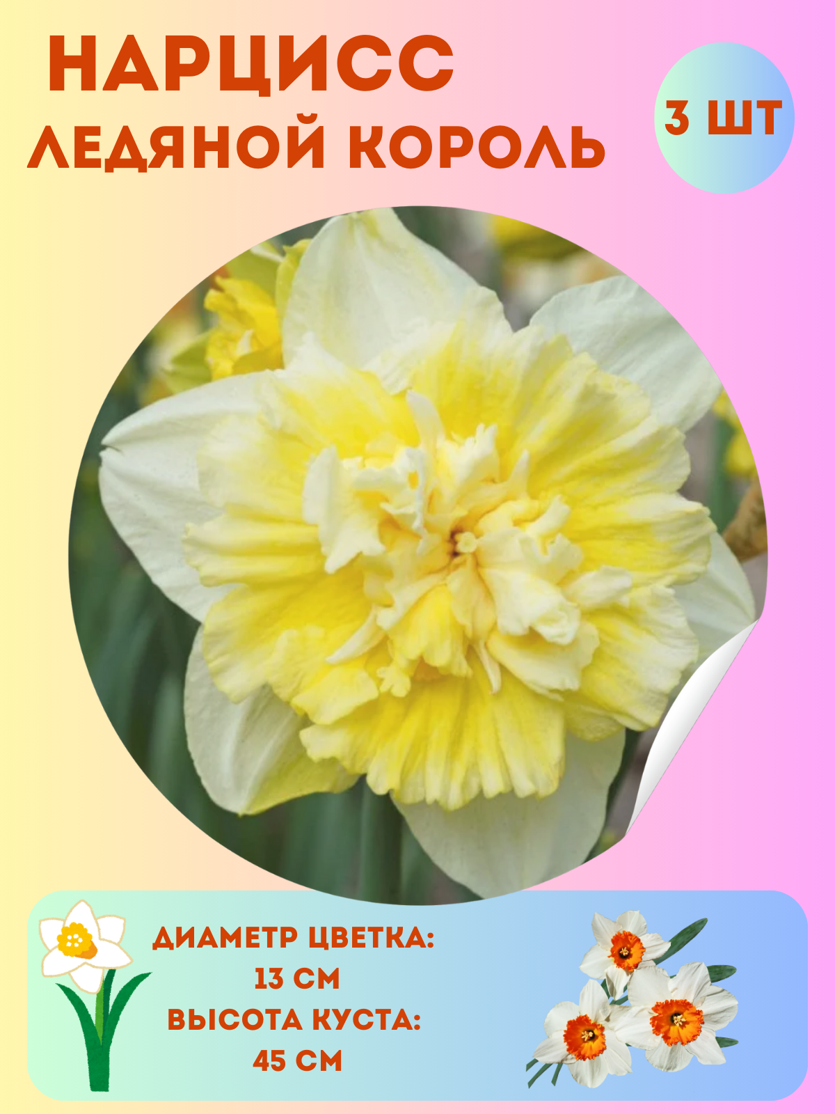 Нарцисс Ледяной Король многолетние цветы луковицы 3 шт