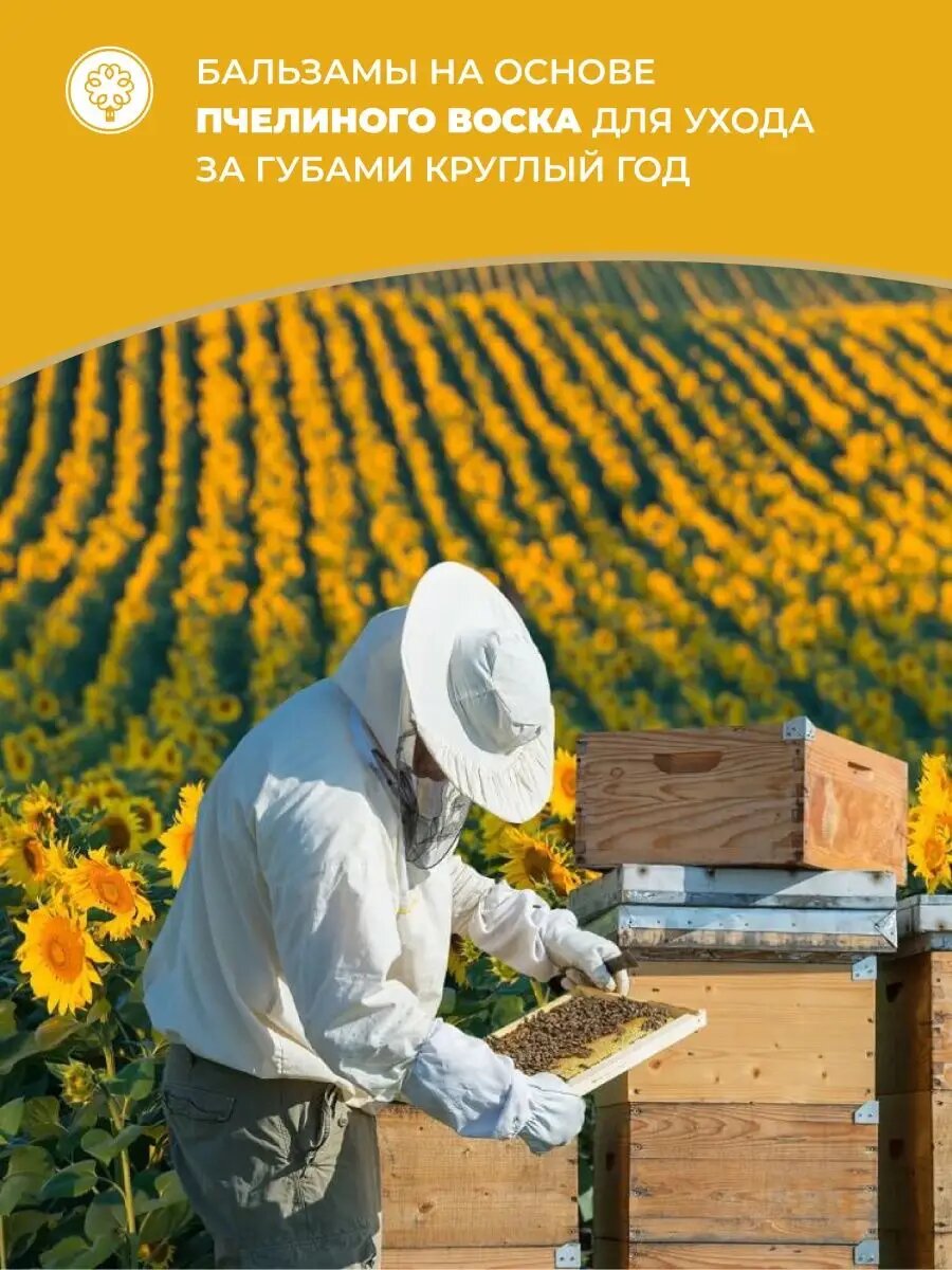 Изображение Бальзам для губ Мануфактура дом природы "Мускат Красный", питание, восстановление, с красным вином, 3,5 мл