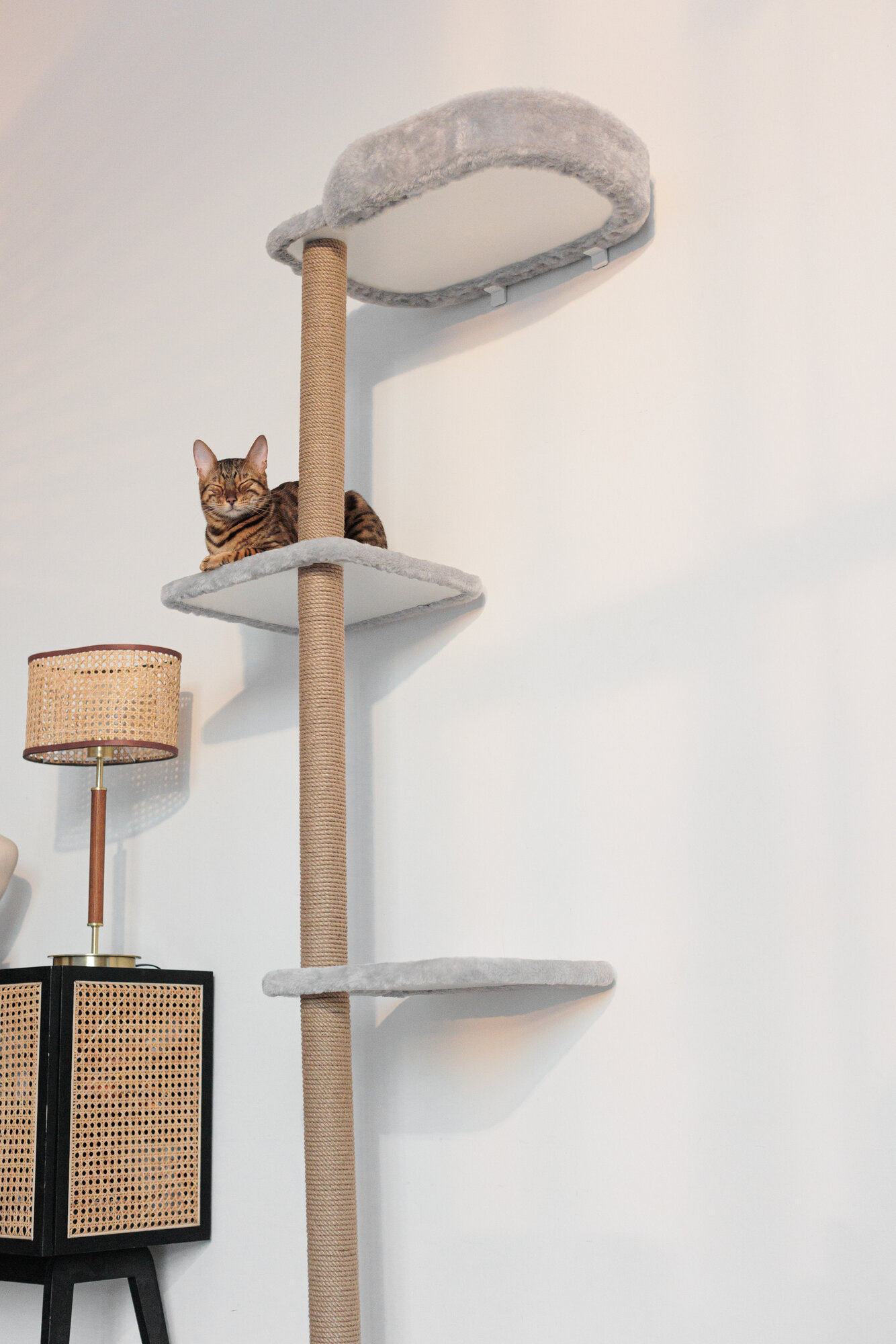 Когтеточки И Комплексы Xiaomi Высокая когтеточка-столбик с лежанкой для кошки настенная комплекс 2 метра серая