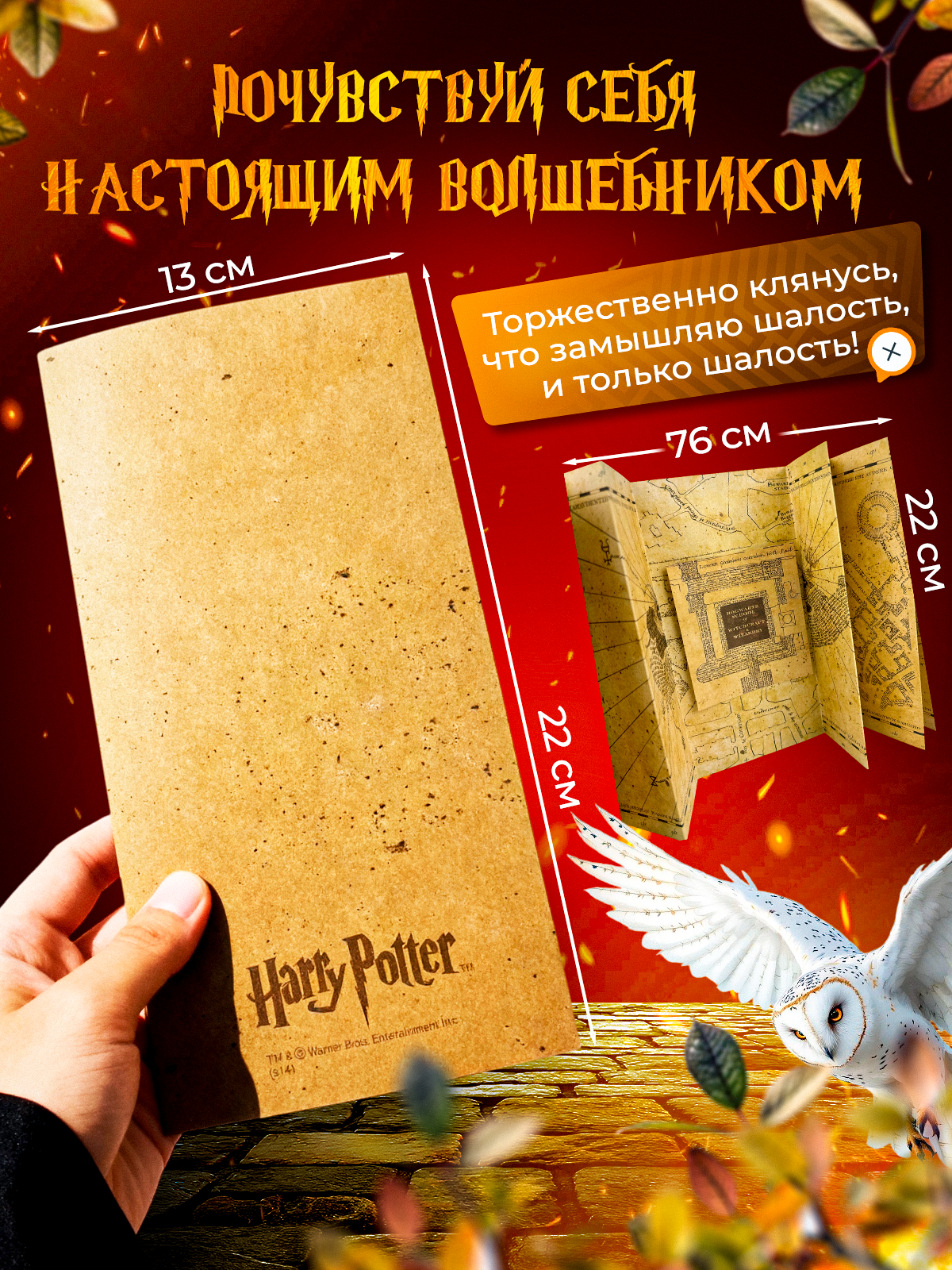 Гарри Поттер Карта Мародеров — фото 1