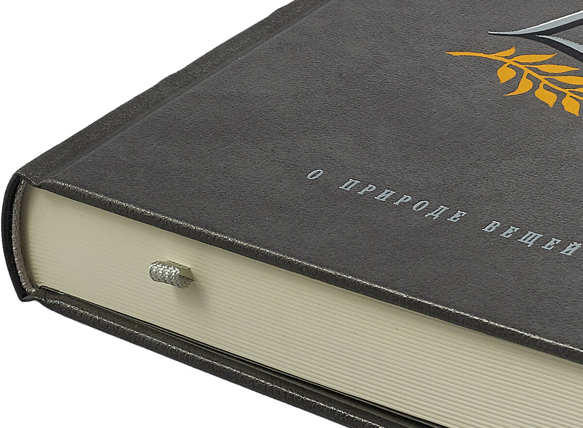 О природе вещей — фото 1