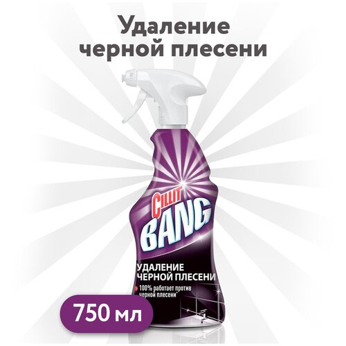 Универсальное средство Cillit Bang против Чёрной плесени с курком 750мл