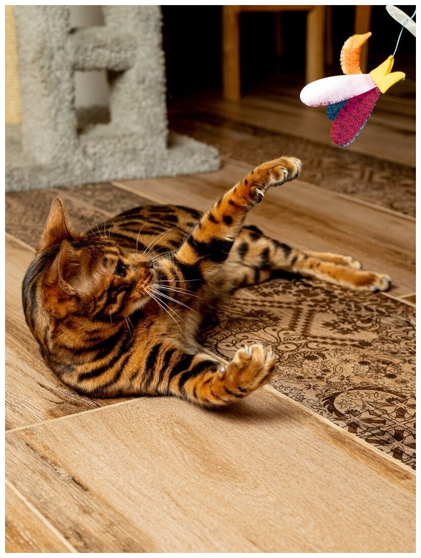 Игрушка для кошек Japan Premium Pet удочка с непредсказуемой траекторией движения для опытных кошачьих охотников ,рыбка - фотография № 5