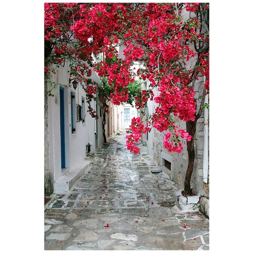 Фотообои Уютная стена Живописная аллея на греческом острове 180х270 см Виниловые Бесшовные (единым полотном)