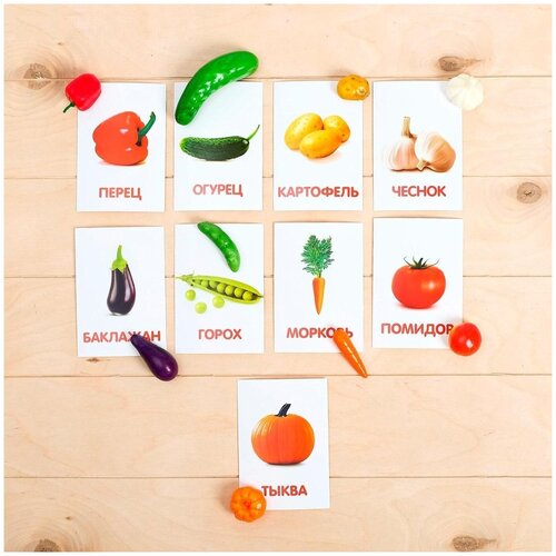 Обучающий набор по методике Г. Домана Овощи: 9 карточек + 9 овощей, счётный материал обучающий набор по методике г домана овощи 9 карточек 9 овощей счётный материал