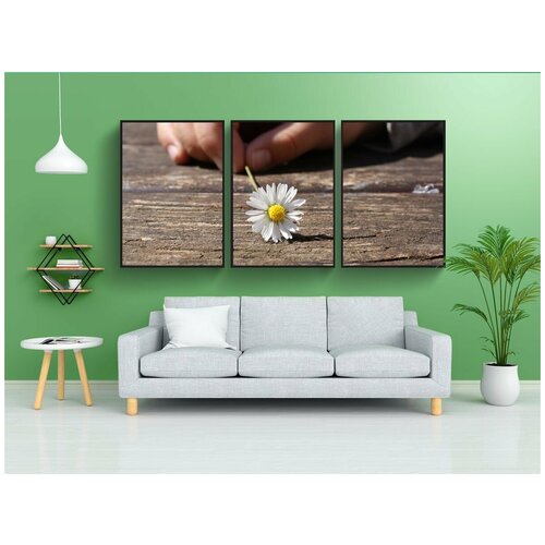 фото Набор модулных постеров для интерьера "маргаритка, цветок, рука" 60x90 см. в тубусе, без рамки lotsprints