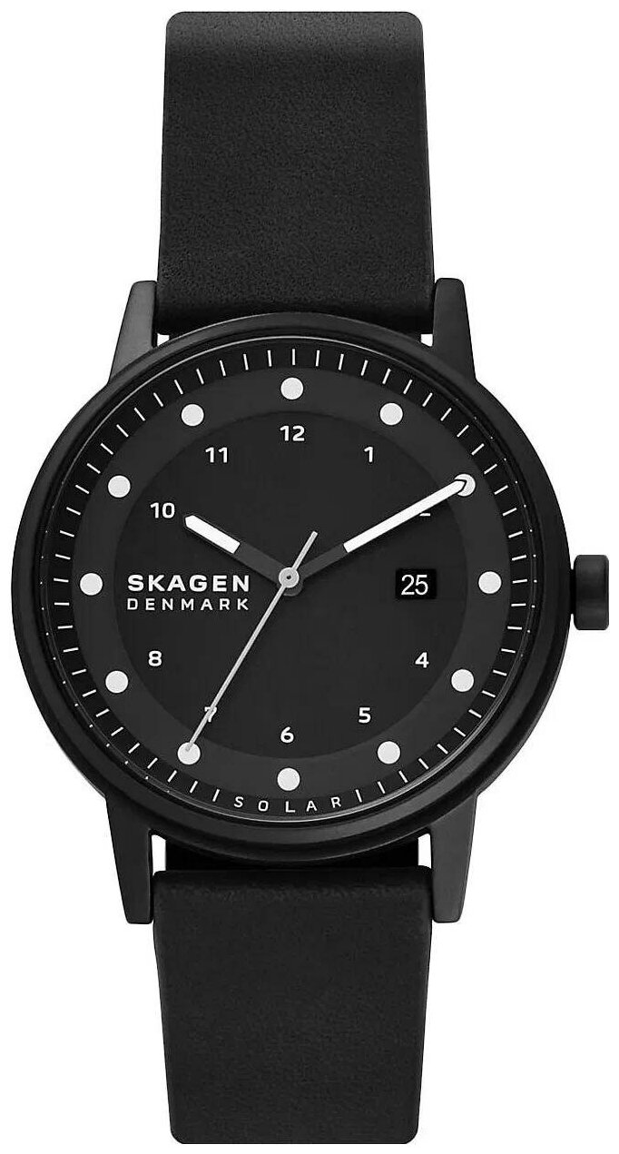 Наручные часы SKAGEN SKW6740