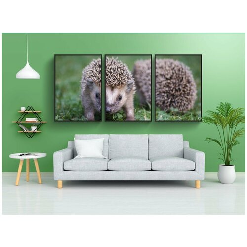 фото Набор модулных постеров для интерьера "ежик, сад, природа" 60x90 см. в тубусе, без рамки lotsprints