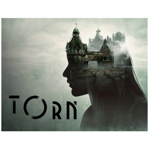 Torn [Mac]