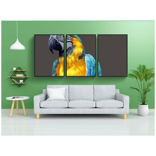 фото Набор модулных постеров для интерьера "попугай, эра, птица" 60x90 см. в тубусе, без рамки lotsprints