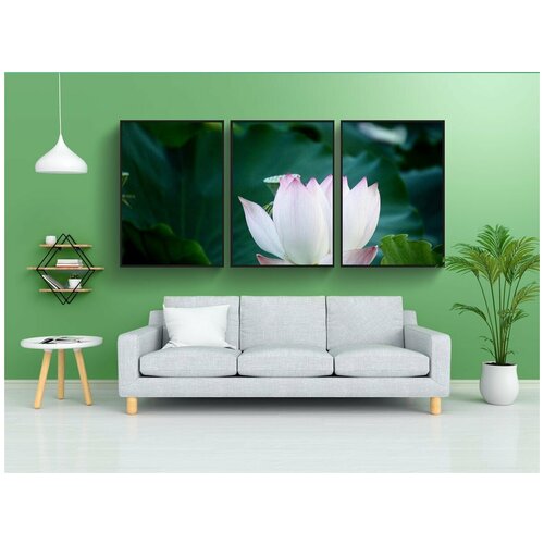 фото Набор модулных постеров для интерьера "цветок, lotus, лотос" 60x90 см. в тубусе, без рамки lotsprints