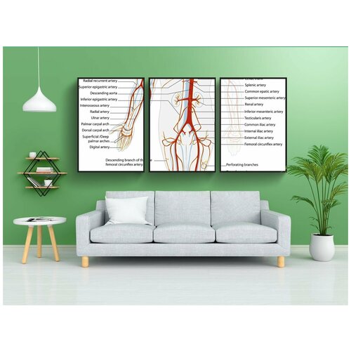 фото Набор модулных постеров для интерьера "здоровье, наука, обращение" 60x90 см. в тубусе, без рамки lotsprints