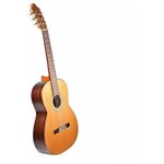 Prudencio Classical Initiation Model 004a Cedar - гитара классическая - изображение