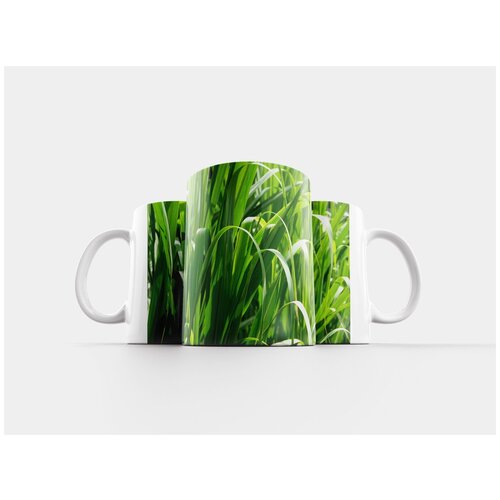 фото Кружка "разрешающая способность, высокая, макрос" 320 мл lotsprints