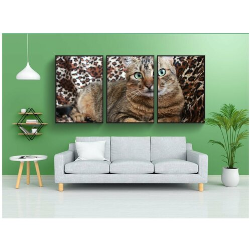 фото Набор модулных постеров для интерьера "кошка, серый кот, pet" 60x90 см. в тубусе, без рамки lotsprints