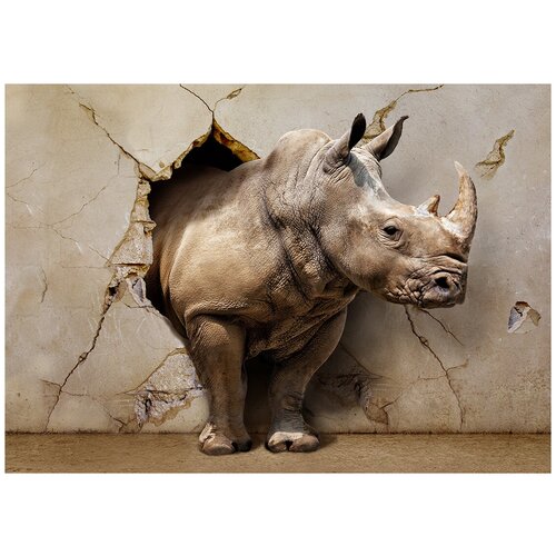 Носорог 3D - Виниловые фотообои, (211х150 см)