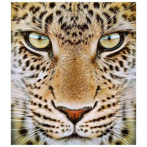 Фотообои Ateliero Тигр 20-8137 2х27 м 2964₽