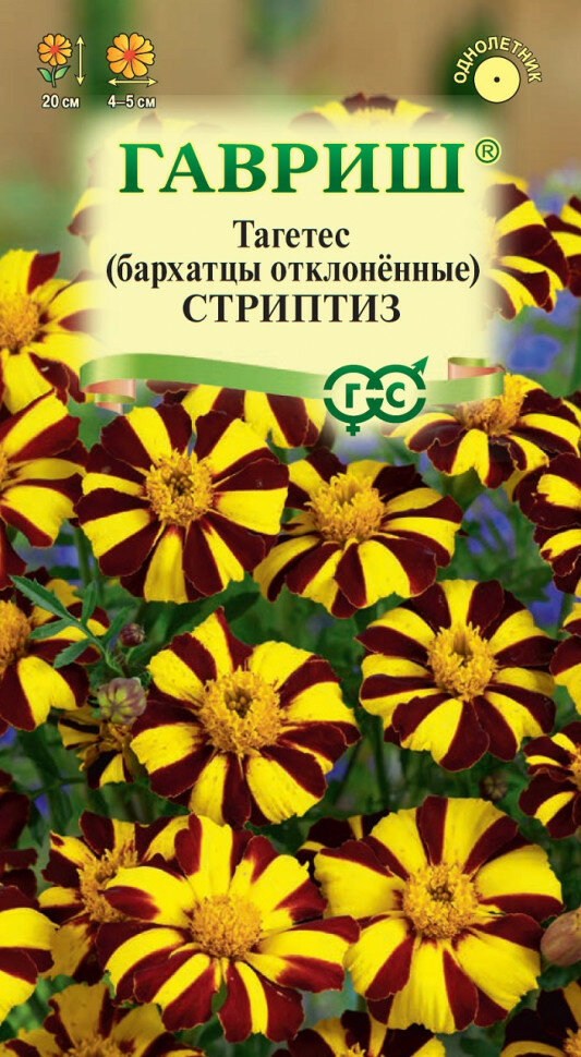 Семена Бархатцы отклоненные (тагетес) Стриптиз, 0,3г, Гавриш, Цветочная коллекция, 10 пакетиков
