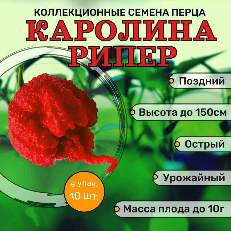 Коллекционные семена Перец острый Каролина рипер