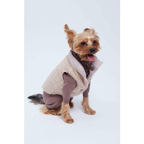 Комплект 2 в 1 бежевый для собак XL