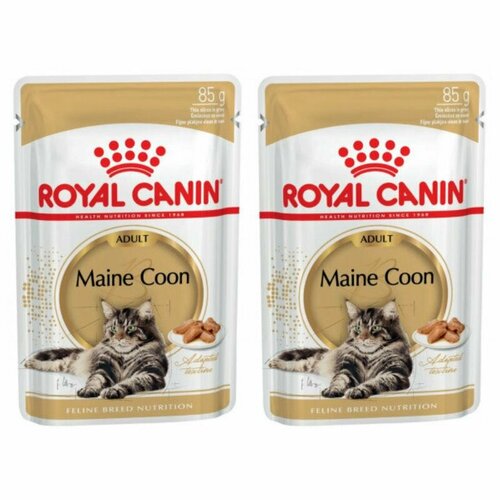 Royal Canin Maine Coon Adult Паучи для взрослых кошек породы Мэйн Кун, в соусе, 85 г, 2 шт