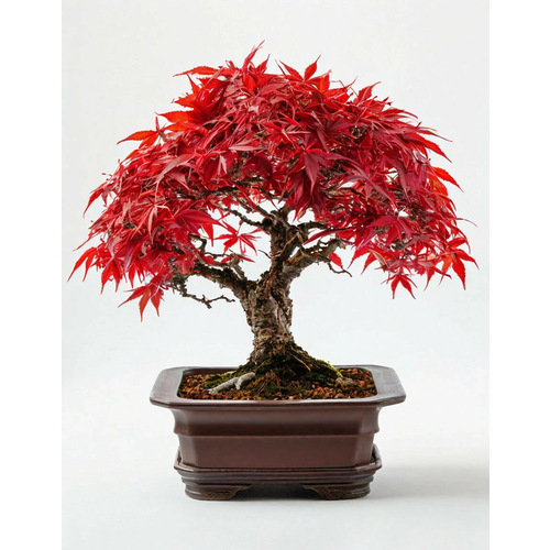 Семена ИП Григорьев 