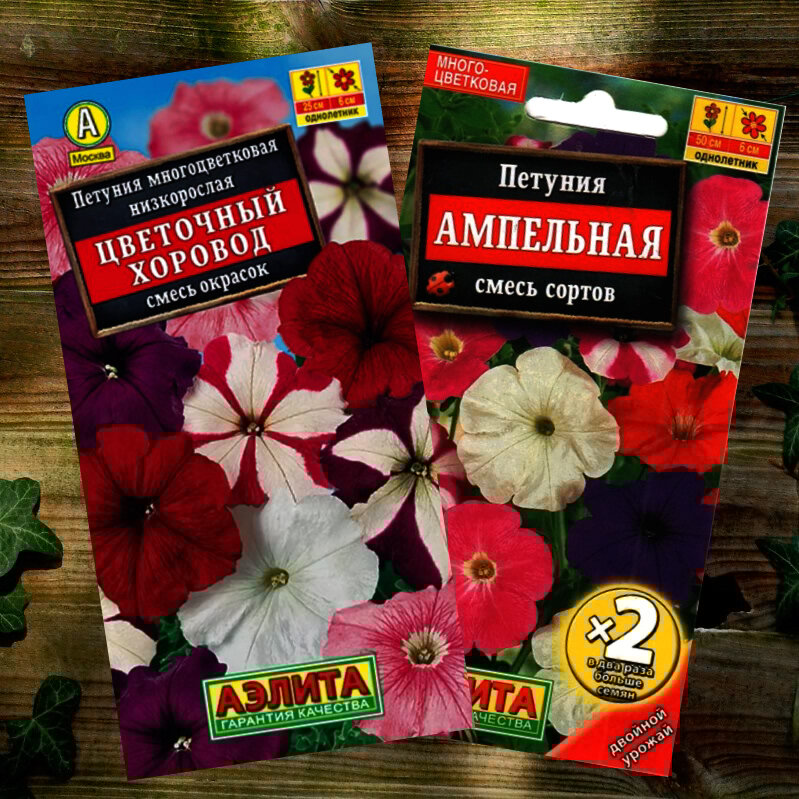 Семена однолетней петунии 