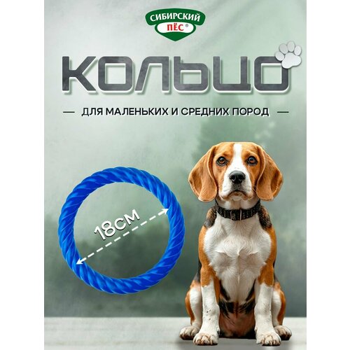Игрушки для собак сибирский ПЁС "Супер Кольцо среднее" Синее 180мм
