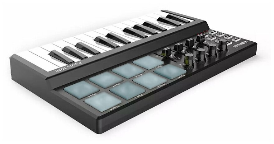 MIDI-контроллер 25 клавиш LAudio PandaminiC