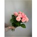 Роза нежно-розовая казанова 50 см 9 штук