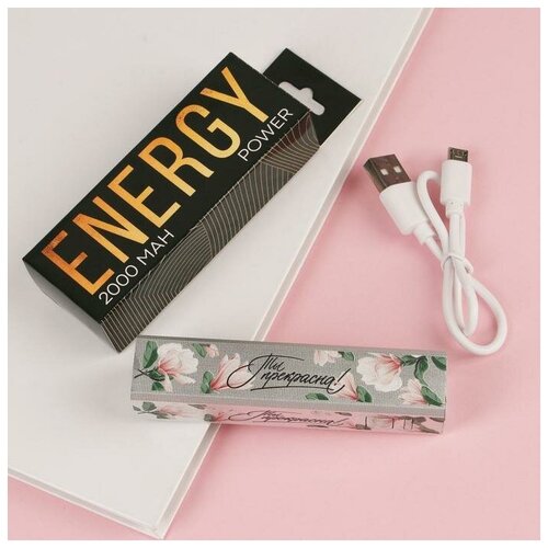 Портативный аккумулятор Ты прекрасна2000mAh мод PB-06 95х2 см 155800₽