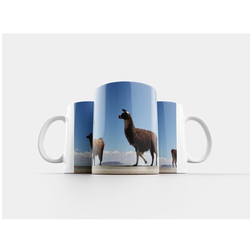 фото Кружка "camelus, mammalia, шерсть" 320 мл lotsprints