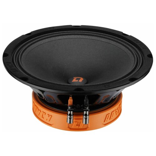 Колонки в машину DL Audio Raven 200 автомобильные динамики