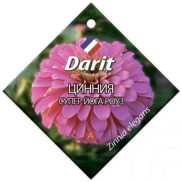 Семена Darit 