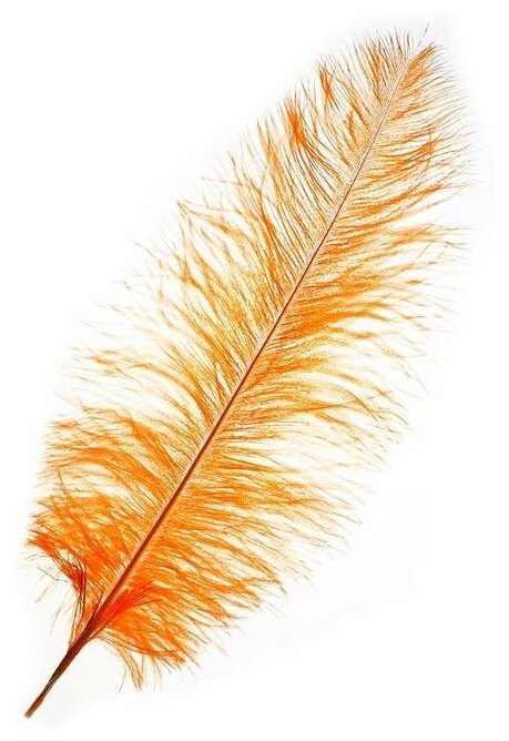 Перо для декора, длина от 45 до 50 см, цвет персиковый