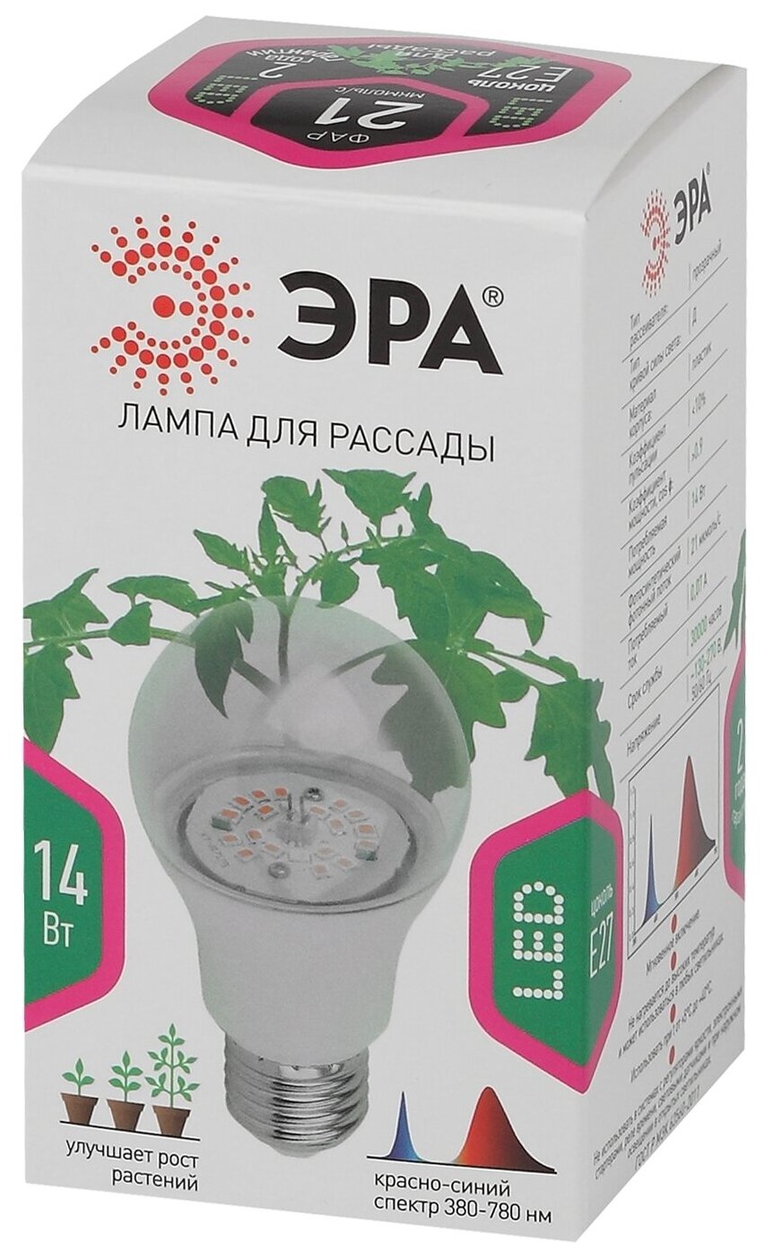 Лампа светодиодная шар 14Вт Е27 1300К для растений FITO-14W-RB-E27-K ЭРА - фотография № 5