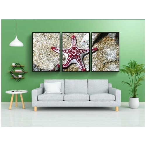 фото Набор модулных постеров для интерьера "море, морская звезда, океан" 60x90 см. в тубусе, без рамки lotsprints