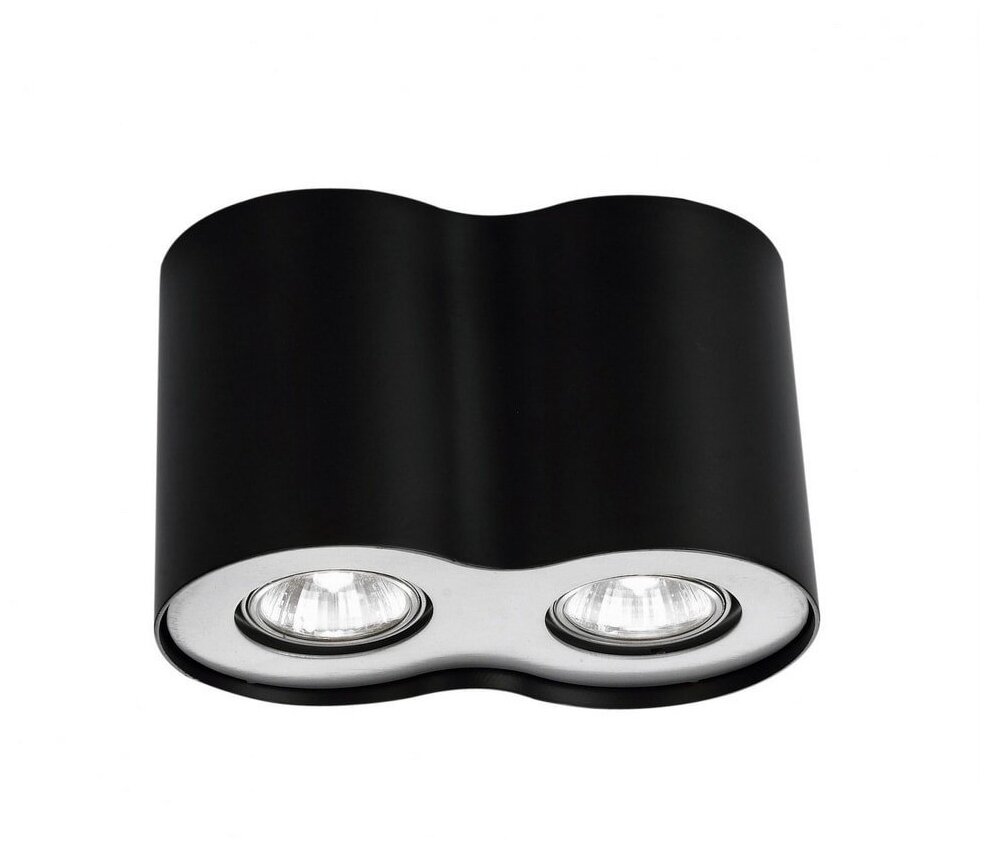фото Спот Arte Lamp Falcon A5633PL-2BK