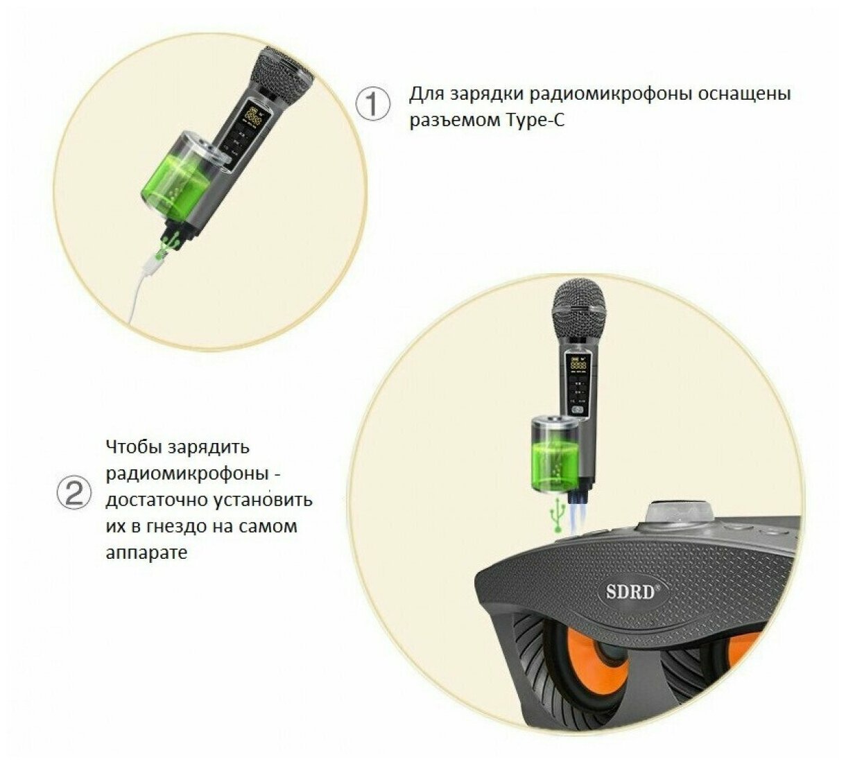 Система караоке SDRD SD 306 Plus