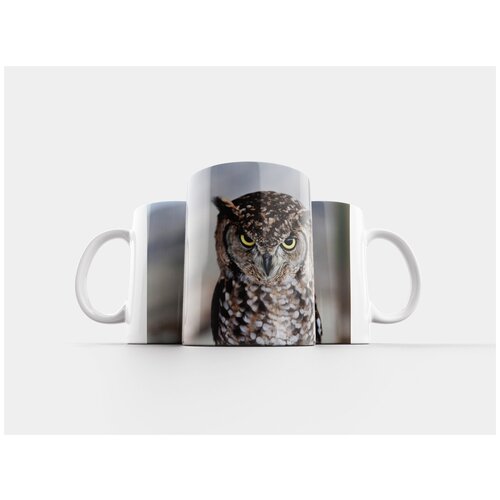 фото Кружка "сова, хищный, ночь" 320 мл lotsprints