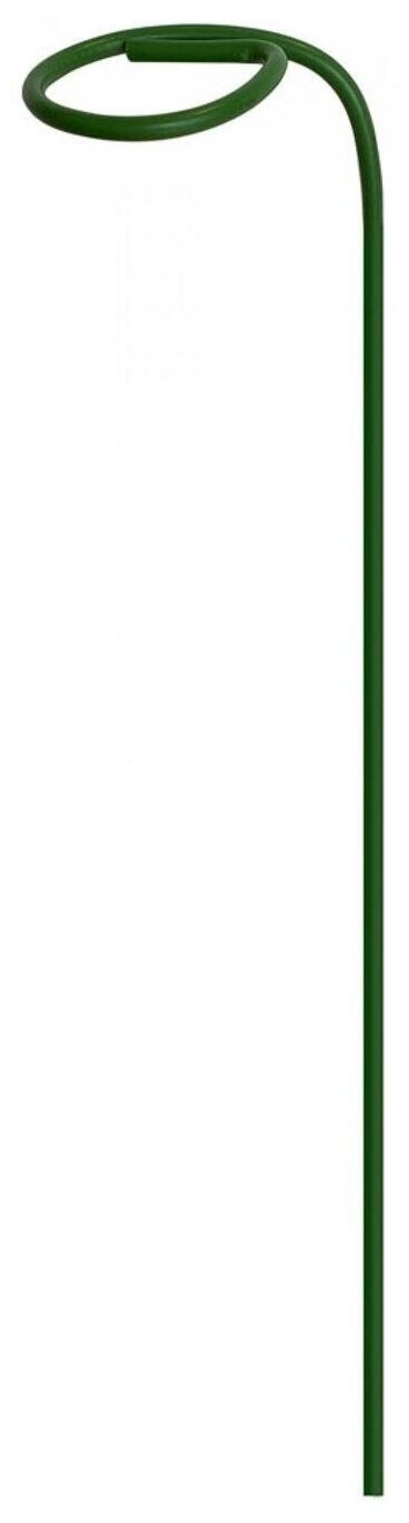 Тонкая прочная опора "Гладиолус" h 67 см, набор 2 шт, окрашенная сталь, цвет зеленый, для поддержки хрупких высоких растений дома или в саду - фотография № 2