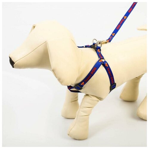 Комплект Super Dog, шлейка 26-39 см, поводок 120х1 см