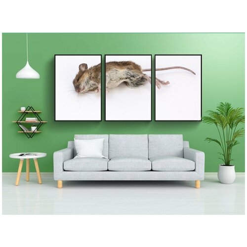 фото Набор модулных постеров для интерьера "мышь, деревянная мышь, apodemus sylvaticus" 60x90 см. в тубусе, без рамки lotsprints