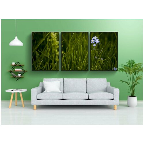 фото Набор модулных постеров для интерьера "лили, цветок, полевой цветок" 60x90 см. в тубусе, без рамки lotsprints