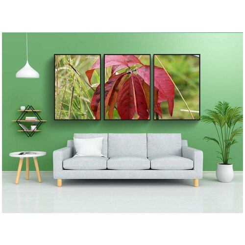 фото Набор модулных постеров для интерьера "осенние листья, красный, осенний цвет" 60x90 см. в тубусе, без рамки lotsprints