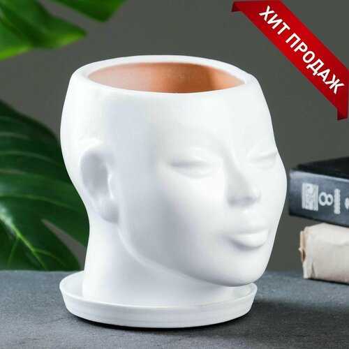 Горшок - органайзер Голова белый 13 л 16х16х14см 1326₽