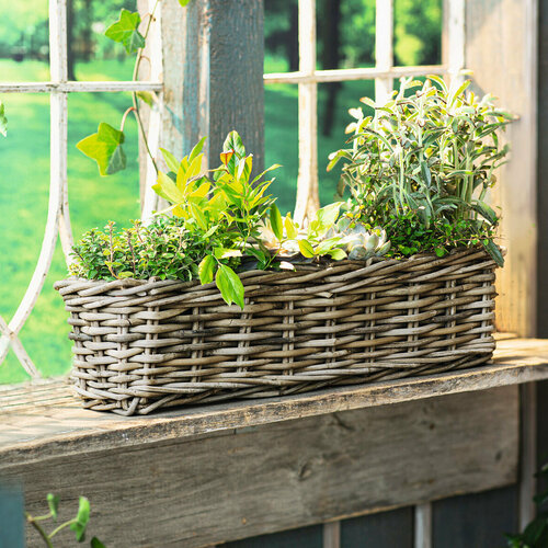 Ящик для растений Ротанг 5007₽