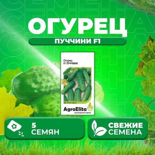 Огурец Пуччини F1, 5шт, AgroElita, Rijk Zwaan (1 уп)