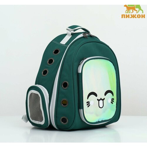 Рюкзак для переноски животных с окном для обзора, зелёный