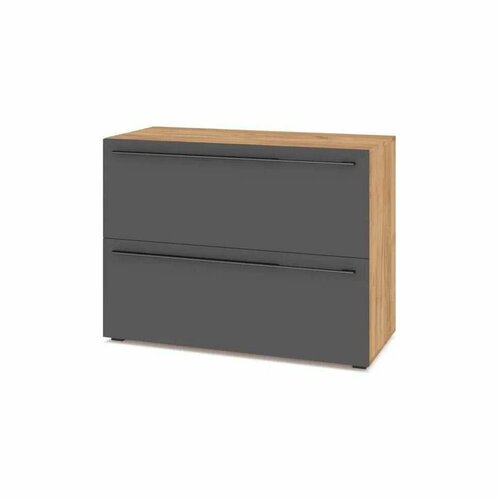 Тумба Стоун С81, золотой дуб/графит